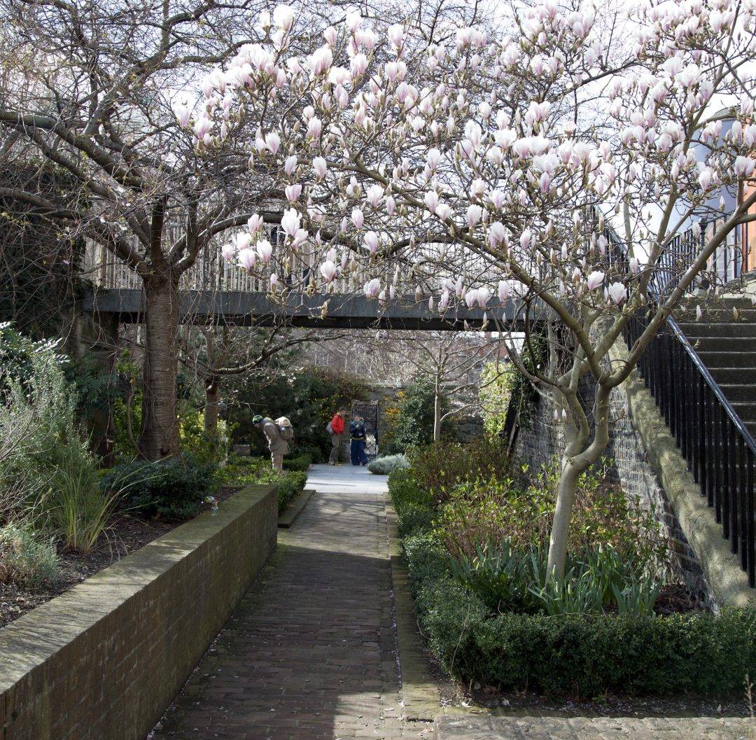 The Castle Gardens Dublin Castle